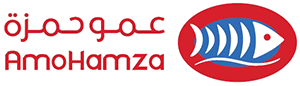 5fb5d5032ea4699a131dd7a5_Amo-Hamza